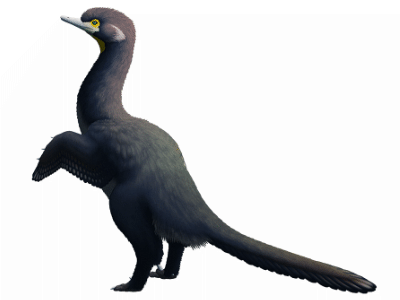 Halszkaraptor / © Nix Illustration