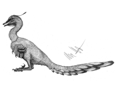 Halszkaraptor / © Robinson Kunz. Verwendet mit freundlicher Genehmigung des Autors Halszkaraptor / © Robinson Kunz. Verwendet mit freundlicher Genehmigung des Autors