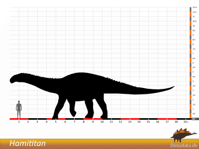 Größenvergleich / Dinodata.de. Creative Commons 4.0 International (CC BY 4.0)