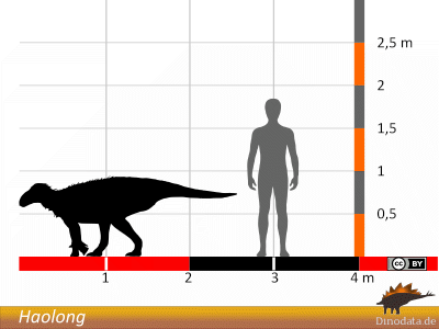 Größenvergleich / © Dinodata.de. Creative Commons 4.0 International (CC BY 4.0)