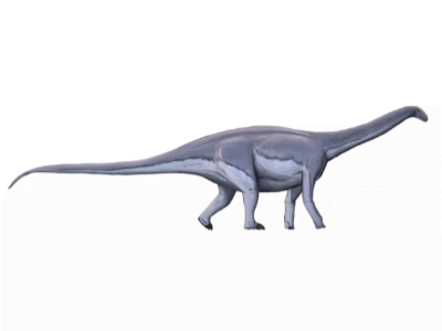 Haplocanthosaurus / © Jun-Hyeok Jang Haplocanthosaurus / © Jun-Hyeok Jang
