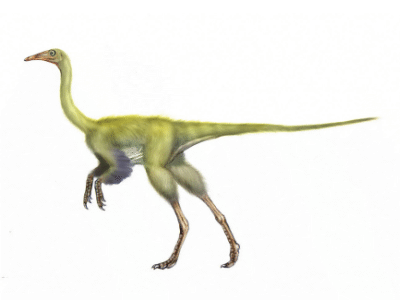 Harpymimus / © Sergio Perez. Verwendet mit freundlicher Genehmigung des Autors