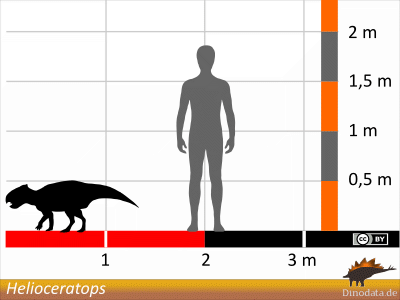 Größenvergleich / © Dinodata.de Größenvergleich / © Dinodata.de