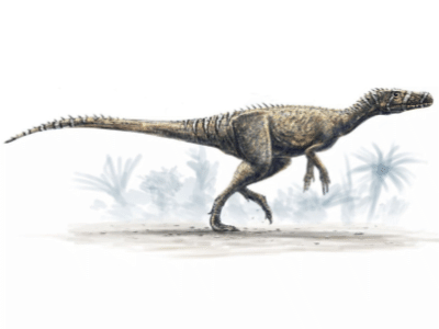 Herrerasaurus / © Alain Beneteau. Verwendet mit freundlicher Genehmigung des Autors Herrerasaurus / © Alain Beneteau. Verwendet mit freundlicher Genehmigung des Autors