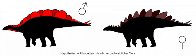 Hypothetische Silhouetten / Evan T. Saitta. Creative Commons 4.0 International (CC BY 4.0)