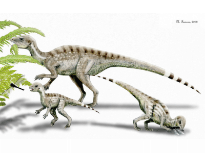 Heterodontosaurus / © N. Tamura. Verwendet mit freundlicher Genehmigung des Autors