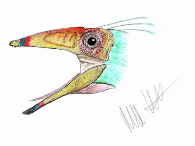 Hexing / © Robinson Kunz Hexing / © Robinson Kunz. Verwendet mit freundlicher Genehmigung des Autors.