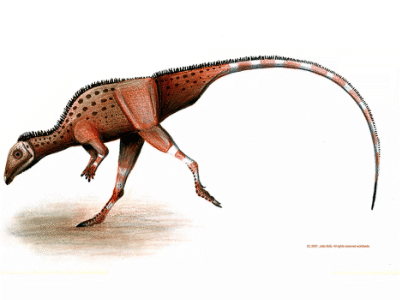 Hexinlusaurus / © Joao Boto. Verwendet mit freundlicher Genehmigung des Autors. Hexinlusaurus / © Joao Boto. Verwendet mit freundlicher Genehmigung des Autors