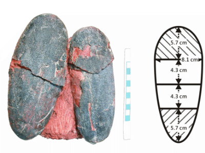 Ei des Heyuannia / © Wiemann et al. Ei des Heyuannia / © Wiemann et al.