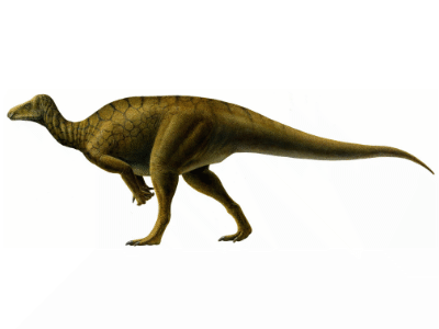 Hippodraco / © Lukas Panzarin. CC0 1.0 Universal (CC0 1.0) Public Domain Dedication Hippodraco / © Lukas Panzarin. CC0 1.0 Universal (CC0 1.0) Public Domain Dedication
