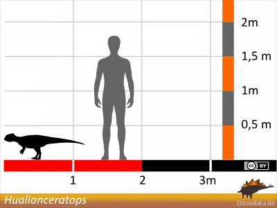 Größenvergleich / Dinodata.de. Creative Commons 4.0 International (CC BY 4.0)