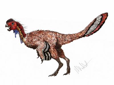 Veterupristisaurus / © Robinson Kunz Veterupristisaurus / © Robinson Kunz. Verwendet mit freundlicher Genehmigung des Autors.