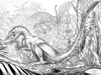 Huaxiagnathus / © Luc J. Bailly Huaxiagnathus / © Luc J. Bailly. Verwendet mit freundlicher Genehmigung des Autors.