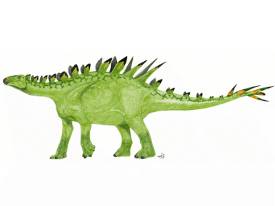 Huayangosaurus / © Mineo Shiraishi. Verwendet mit freundlicher Genehmigung des Autors. Huayangosaurus / © Mineo Shiraishi. Verwendet mit freundlicher Genehmigung des Autors.