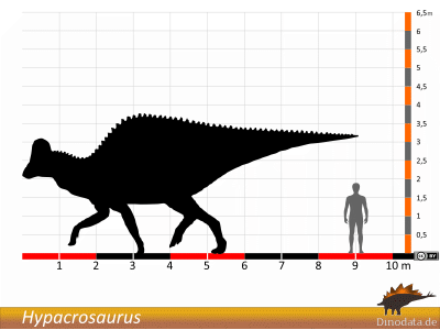 Größenvergleich / © Dinodata.de Größenvergleich / © Dinodata.de