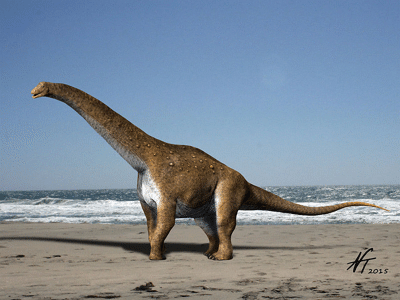 Hypselosaurus / © N. Tamura. Verwendet mit freundlicher Genehmigung des Autors.