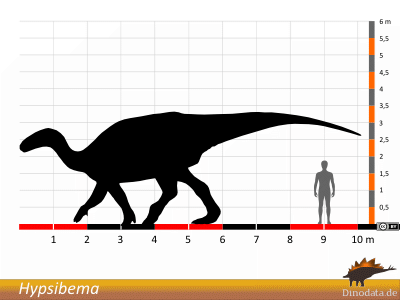 Größenvergleich / © Dinodata.de