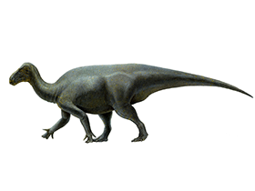 Hippodraco / © Lukas Panzarin. CC0 1.0 Universal (CC0 1.0) Public Domain Dedication Hippodraco / © Lukas Panzarin. CC0 1.0 Universal (CC0 1.0) Public Domain Dedication