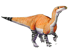 Iguanodon / © Martin F. Chavez Iguanodon / © Martin F. Chavez. Verwendet mit freundlicher Genehmigung des Autors.