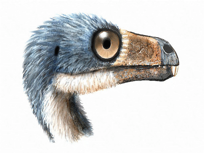 Incisivosaurus / © Ville Sinkkonen. Verwendet mit freundlicher Genehmigung des Autors.