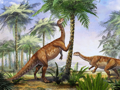 Irisosaurus /  Ang Li. Creative Commons 4.0 International (CC BY 4.0)