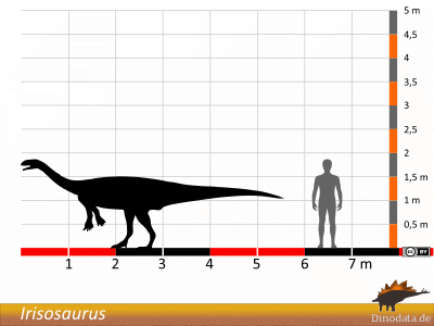 Größenvergleich / Dinodata.de. Creative Commons 4.0 International (CC BY 4.0)