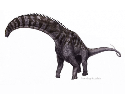 Isisaurus / © Andrey Atuchin. Verwendet mit freundlicher Genehmigung des Autors