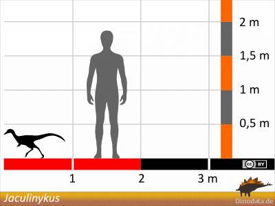 Größenvergleich / © Dinodata.de Größenvergleich / © Dinodata.de