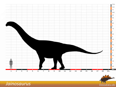 Größenvergleich / © Dinodata.de Größenvergleich / © Dinodata.de