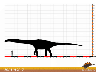 Größenvergleich / © Dinodata.de. Creative Commons 4.0 International (CC BY 4.0) Größenvergleich / © Dinodata.de. Creative Commons 4.0 International (CC BY 4.0)