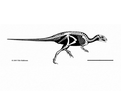 Jeholosaurus / © Ville Sinkkonen. Verwendet mit freundlicher Genehmigung des Autors.