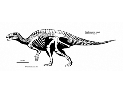Jinzhousaurus / © Ville Sinkkonen Jinzhousaurus / © Ville Sinkkonen. Verwendet mit freundlicher Genehmigung des Autors.