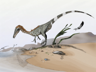 Juravenator / © N. Tamura. Verwendet mit freundlicher Genehmigung des Autors Juravenator / © N. Tamura. Verwendet mit freundlicher Genehmigung des Autors