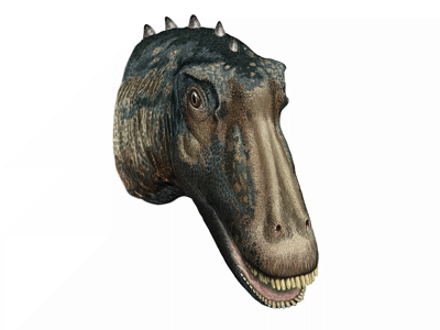 Kaatedocus / © Davide Bonadonna. Verwendet mit freundlicher Genehmigung des Autors. Kaatedocus / © Davide Bonadonna. Verwendet mit freundlicher Genehmigung des Autors.