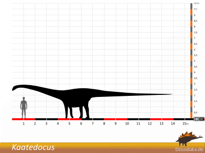 Größenvergleich / © Dinodata.de Größenvergleich / © Dinodata.de