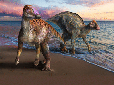 Yamatosaurus & Kamuysaurus / © Masato Hattori