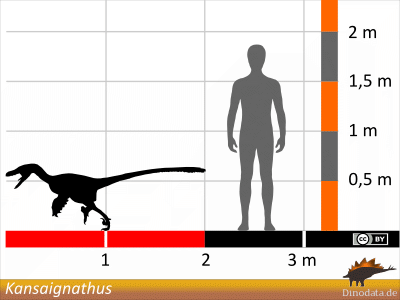 Größenvergleich / © Dinodata.de