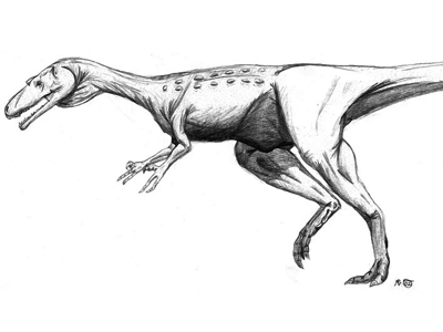 Kayentavenator / © Robert Gay. Verwendet mit freundlicher Genehmigung des Autors. Kayentavenator / © Robert Gay. Verwendet mit freundlicher Genehmigung des Autors.