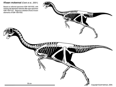 Skelett des Khaan / © Scott Hartman. Verwendet mit freundlicher Genehmigung des Autors.