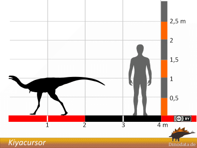 Größenvergleich / © Dinodata.de Größenvergleich / © Dinodata.de