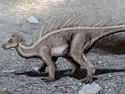 Koreanosaurus / © N. Tamura Koreanosaurus / © N. Tamura. Verwendet mit freundlicher Genehmigung des Autors.