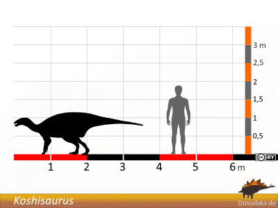 Größenvergleich / © Dinodata.de Größenvergleich / © Dinodata.de