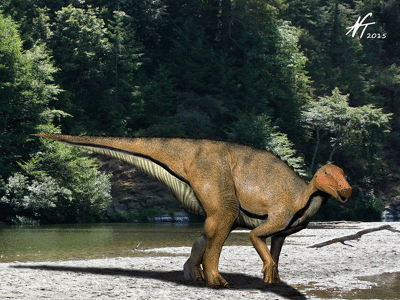 Koshisaurus / © N. Tamura. Verwendet mit freundlicher Genehmigung des Autors Koshisaurus / © N. Tamura. Verwendet mit freundlicher Genehmigung des Autors