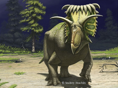 Kosmoceratops / © Andrey Atuchin Kosmoceratops / © Andrey Atuchin. Verwendet mit freundlicher Genehmigung des Autors.