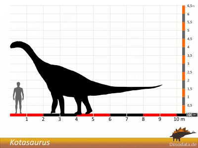Größenvergleich / © Dinodata.de Größenvergleich / © Dinodata.de