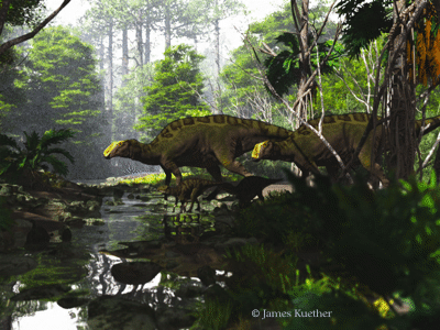 Kritosaurus / © James Kuether. Verwendet mit freundlicher Genehmigung des Autors. Kritosaurus / © James Kuether. Verwendet mit freundlicher Genehmigung des Autors.