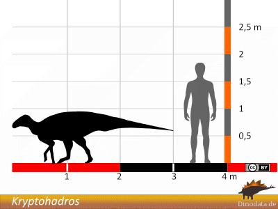 Größenvergleich / © Dinodata.de