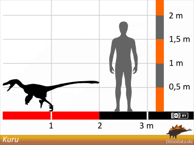 Größenvergleich / © Dinodata.de Größenvergleich / © Dinodata.de