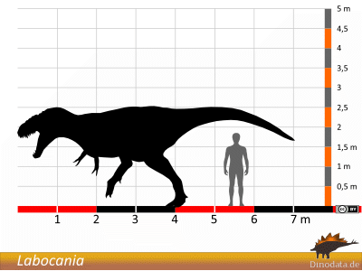 Größenvergleich / © Dinodata.de Größenvergleich / © Dinodata.de