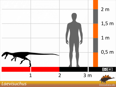 Größenvergleich / © Dinodata.de Größenvergleich / © Dinodata.de